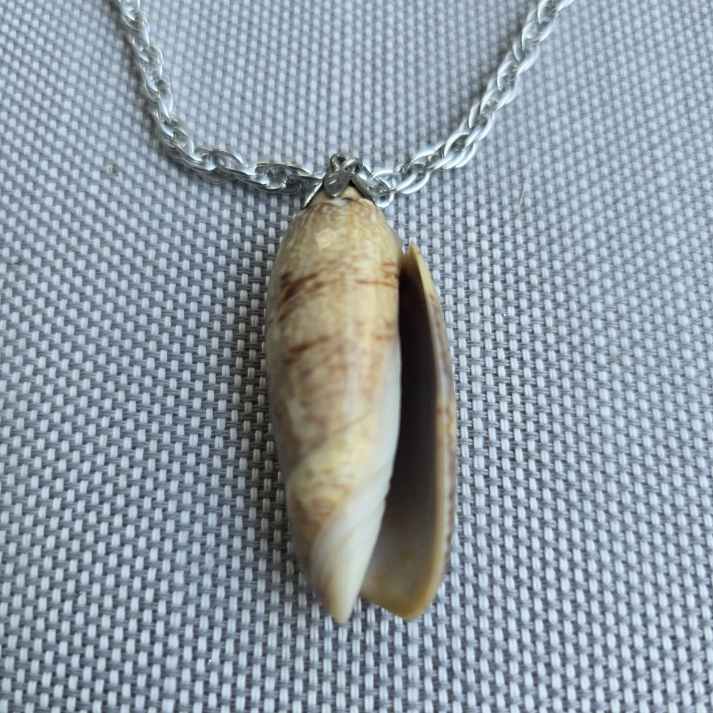 Natural‎ Conch Sea Shell Necklace Mermaid Jewelry Beach Nautical.